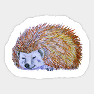 Cute Hedghog Sticker